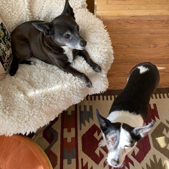 Meet your Posher, Meg - Picture 5 of 5